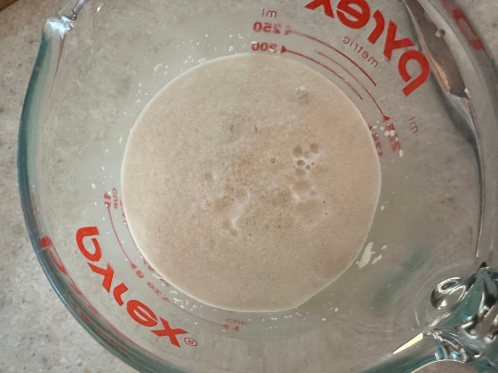 Yeast mixture blooming in a glass measuring cup.