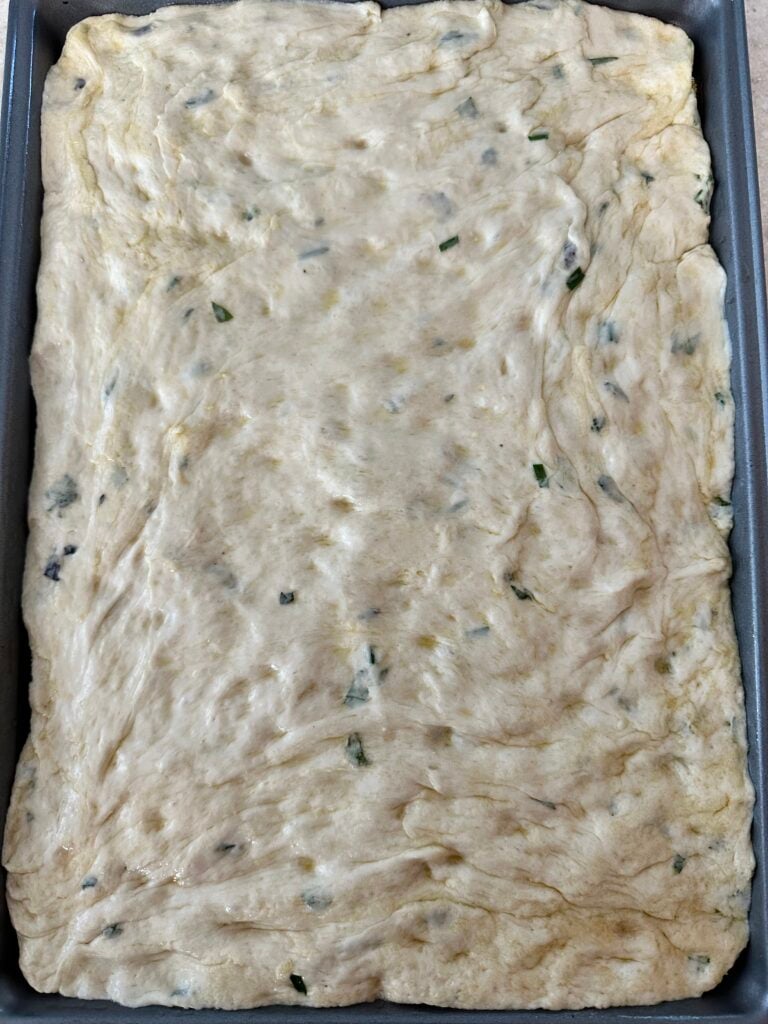 Focaccia bread dough stretched to fit a small baking sheet.