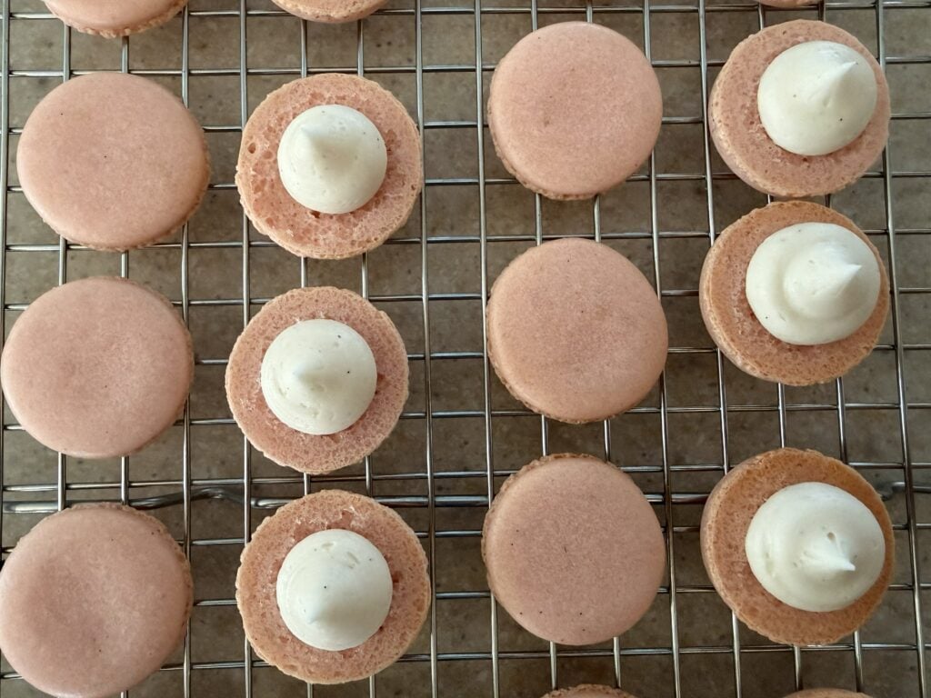 Vanilla macarons showing the vanilla bean buttercream piped onto the shells.