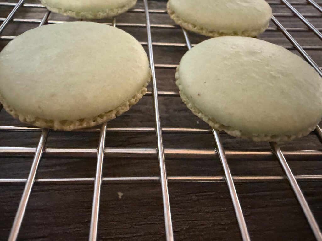 Baked pistachio macaron shells.