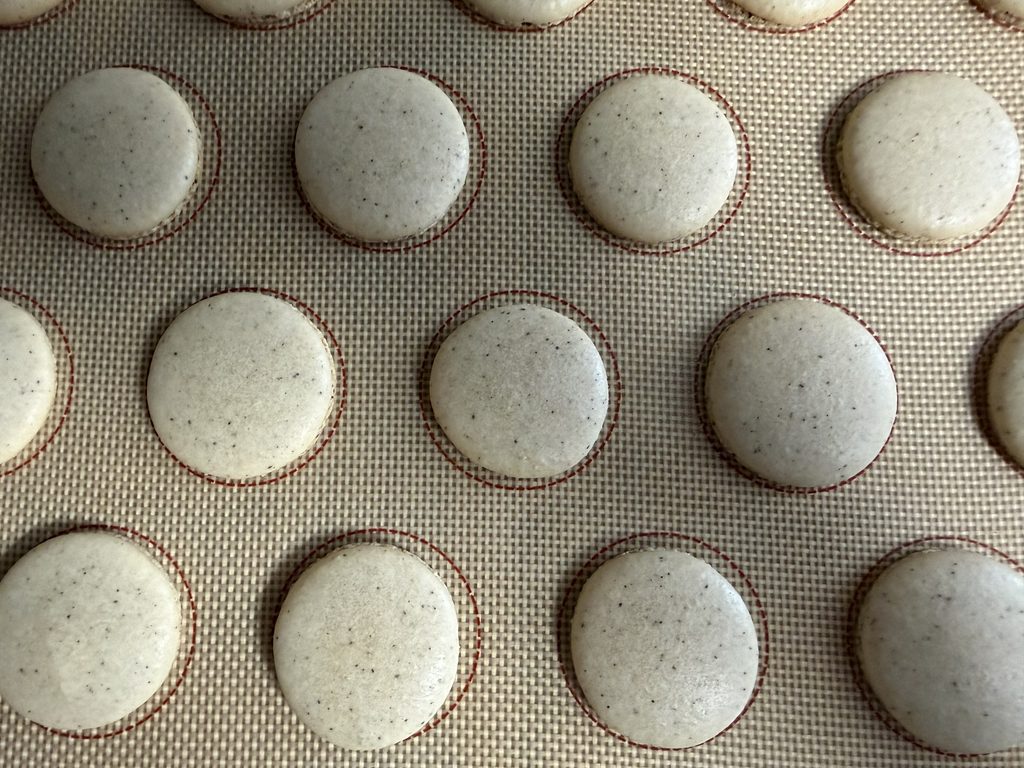 Baked coffee macaron shells.